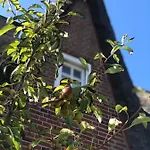 Eidumhaus, Freistehendes Reetdachhaus Mit Garten In Strandnaehe 別荘