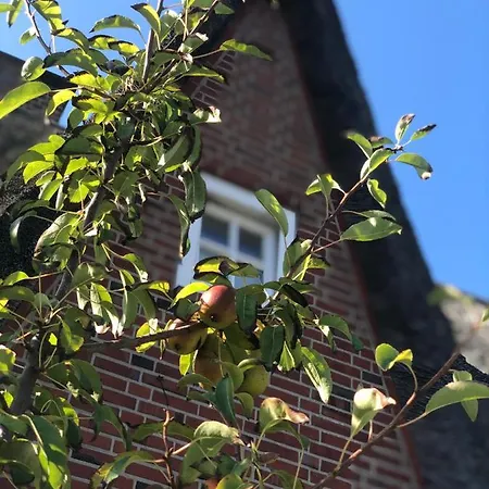 Eidumhaus, Freistehendes Reetdachhaus Mit Garten In Strandnaehe Dom wakacyjny