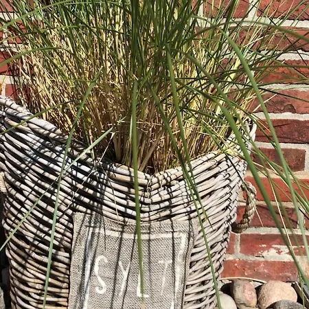 Eidumhaus, Freistehendes Reetdachhaus Mit Garten In Strandnaehe