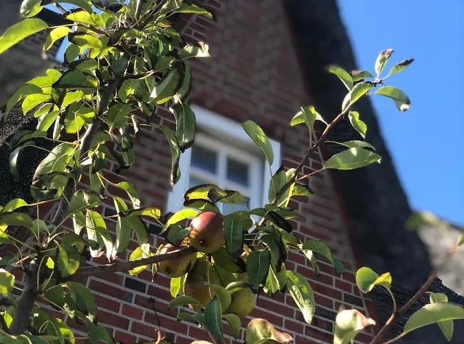 Eidumhaus, Freistehendes Reetdachhaus Mit Garten In Strandnaehe Casa de Férias